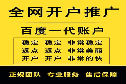 SEM代理服务：助力企业精准营销案例解析