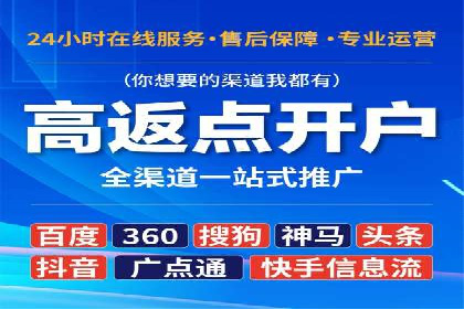 深度解析：竞价推广公司经典案例